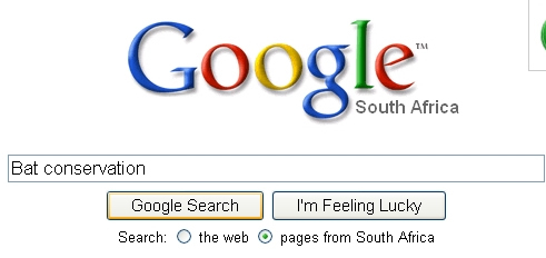 Google search