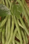 Beans