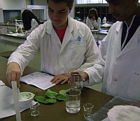 At Plant Science