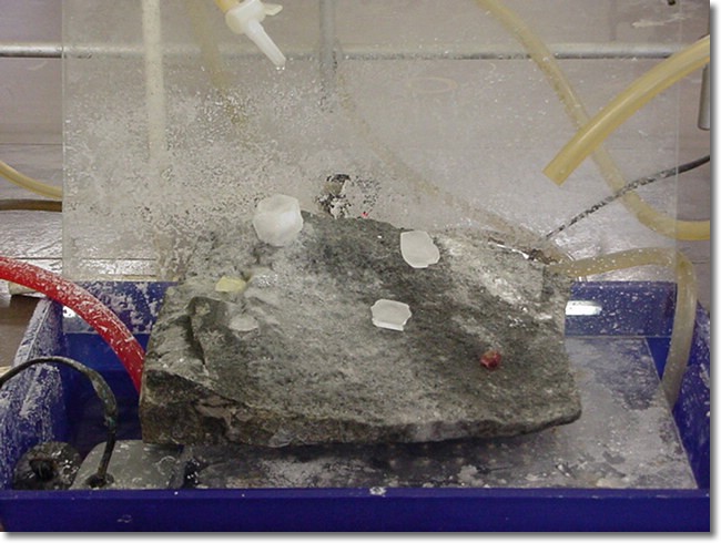 MVC-010F.JPG