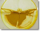 Mvc-039f.jpg