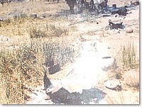 Mvc-054f.jpg