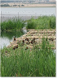 Hartebeespoort_083.jpg
