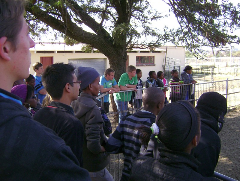 GroupNFarm116.JPG